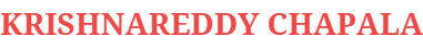 Krishnareddy Chapala – Google Ads Consultant